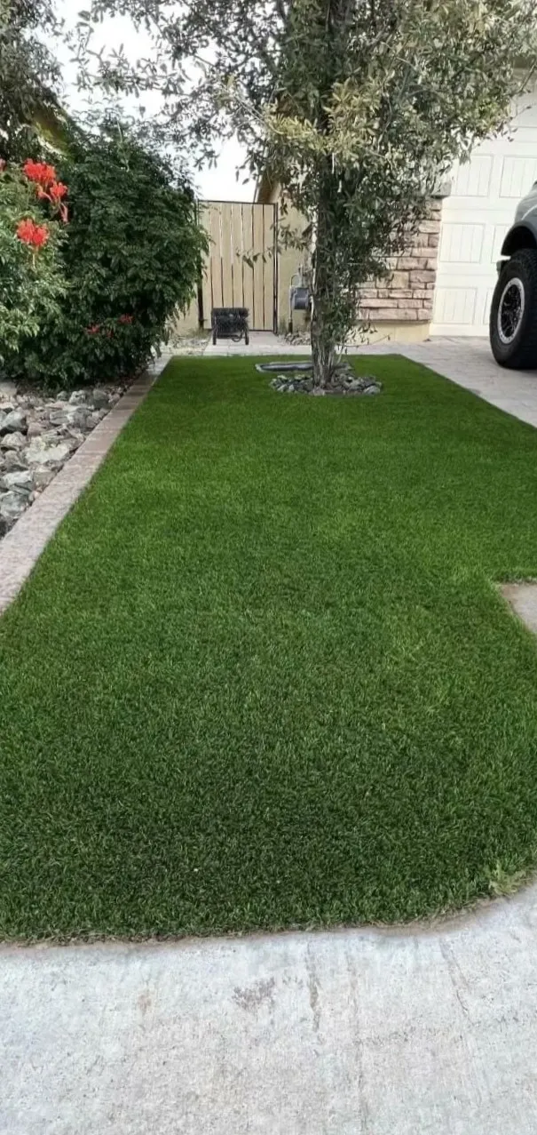 The same turf clean, with blades lifted, after the Mint process