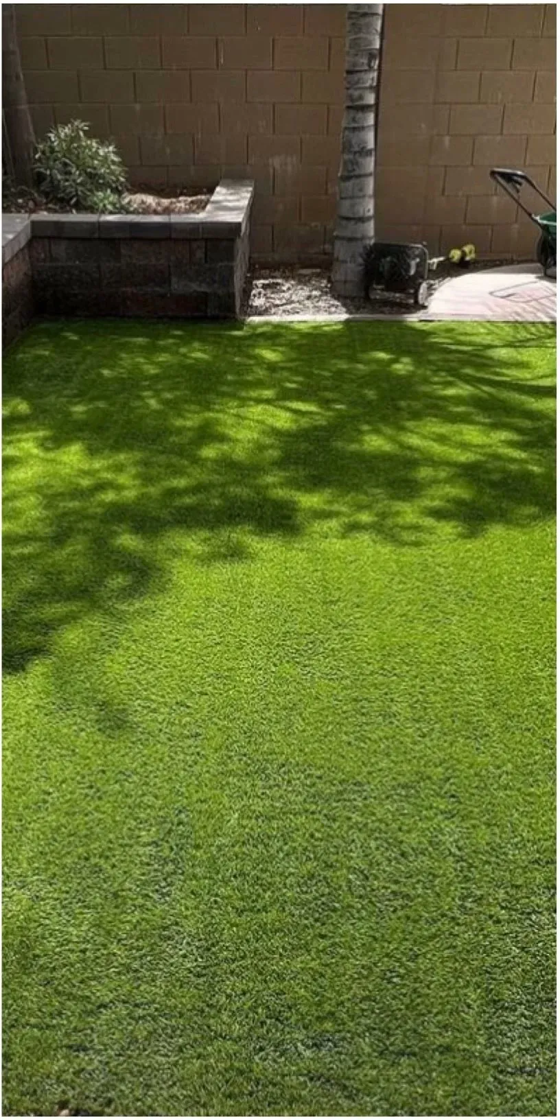 The same turf bright green after cleaning